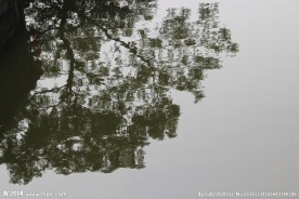 水中倒影