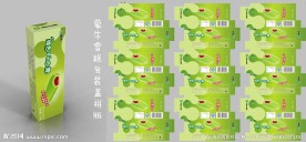 蒙牛雪糕包装盒