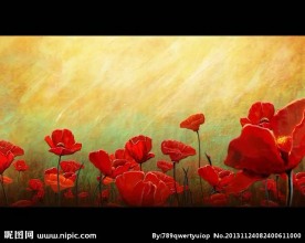 花朵视频素材