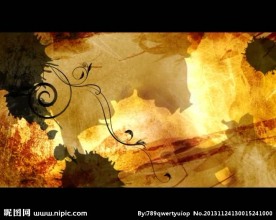 花纹图案视频素材