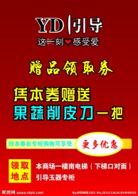引导