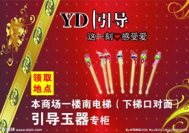引导