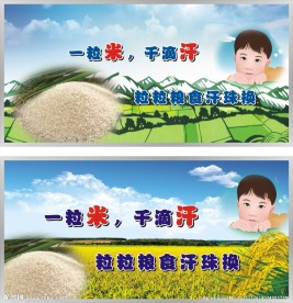 节约粮食