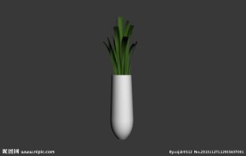 植物模型