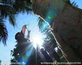 清晨健身视频素材