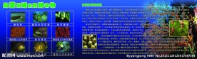校园展板