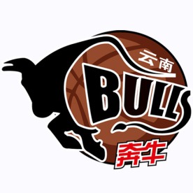云南奔牛男子篮球队标