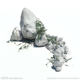 植物模型 草模型