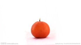 静物橙子