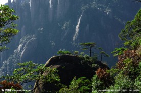 三清山迎客松