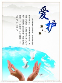 学校展板