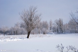 根河两公里半冬景