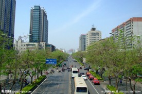 石家庄中山路街景