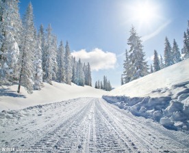 冬季雪景