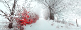雪景