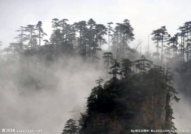 云海松涛