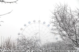 雪景 林 摄影