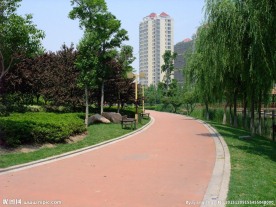 公园小路