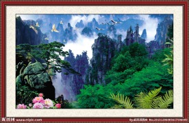 黄山迎客松