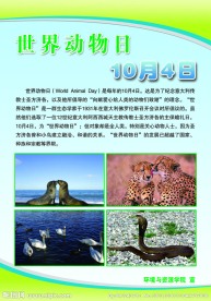 世界动物日