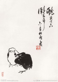 雏鸡