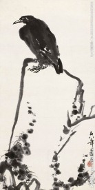 雄视