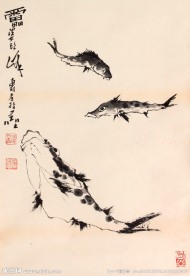鱼儿