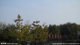 槐荫广场