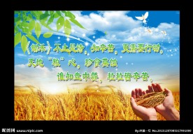 节约粮食海报