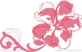 鲜花