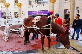 光谷意大利风情街