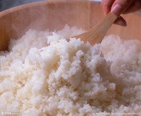 大米 米饭 鲜米饭
