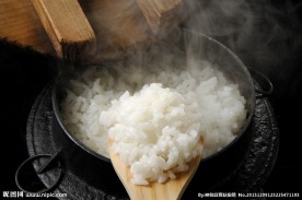 大米 米饭 鲜米饭