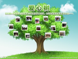 爱心树 公益活动