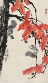 红叶松鼠
