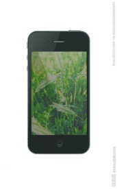手机APP