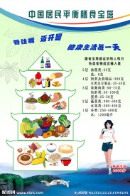 平衡膳食宝塔