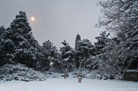 颐和园的雪