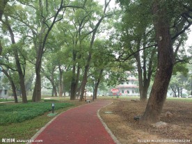 漳平榉子洲公园