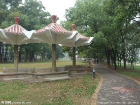 漳平榉子洲公园