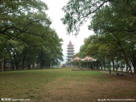 漳平榉子洲公园