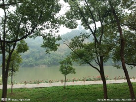 漳平榉子洲公园