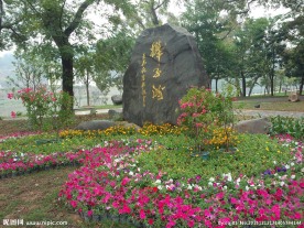 漳平榉子洲公园