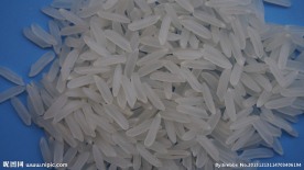 白米 米粒