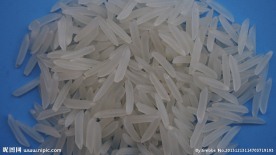 白米 米粒