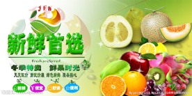 水果版面海报