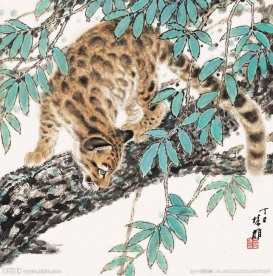 金钱豹