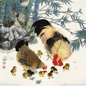 公鸡