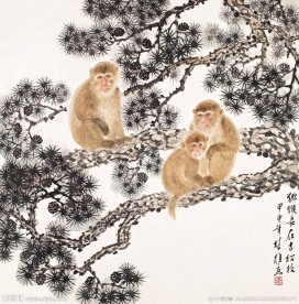 猕猴长在古松枝