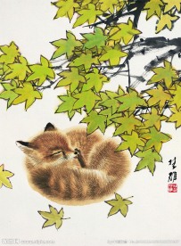 小狐狸